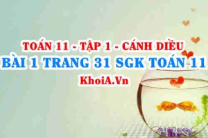 Bài 1 trang 31 SGK Toán 11 tập 1 Cánh Diều